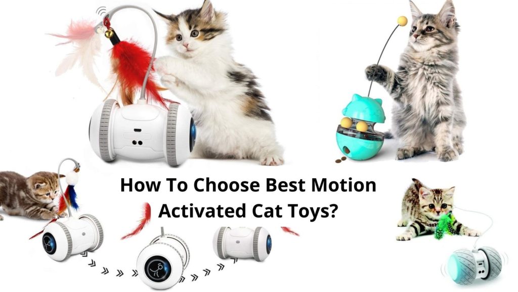 How To Choose Best Motion Activated Cat Toys? Top-10 Reviews and A Buying Guide