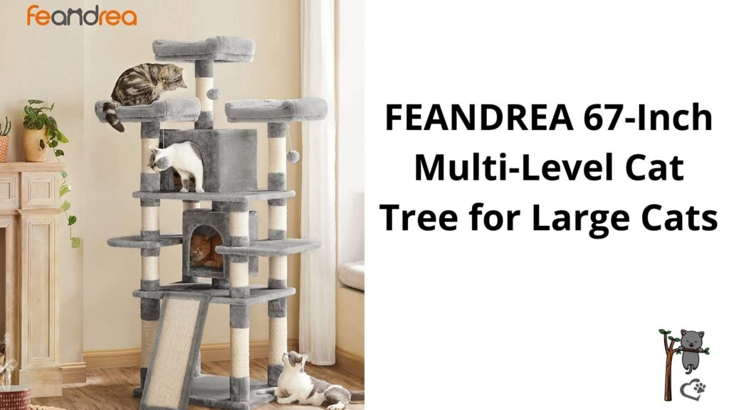 №2 FEANDREA 67-Inch Multi - Level Cat Tree for Large Cats